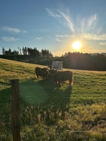 Glamping s mini ZOO - Jetd - Rychnov u Jablonce n. N.