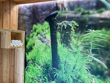 Chalupa wellness a kachlová kamna - Jeseníky