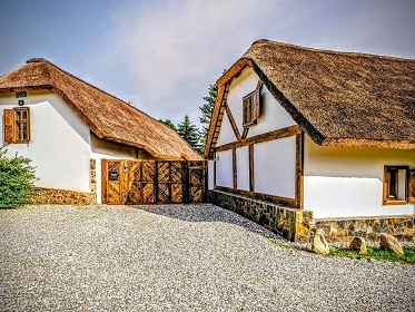 Chalupa bio bazn a wellness - Brdy - Blatn