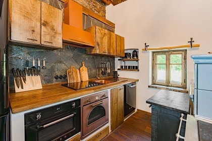 Chalupa bio bazn a wellness - Brdy - Blatn