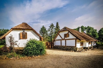 Chalupa bio bazn a wellness - Brdy - Blatn