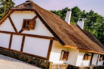 Chalupa bio bazn a wellness - Brdy - Blatn