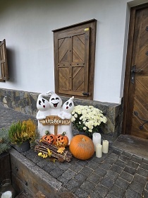 Chalupa bio bazn a wellness - Brdy - Blatn