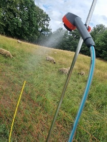 Glamping 02 jurta hnědá jablečný sad - Heřmaničky