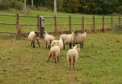 Glamping Jurta na statku - Toulava - Mon�nec