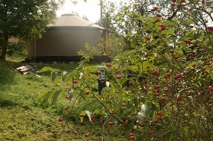 Glamping 02 jurta hnd jablen sad - Hemaniky