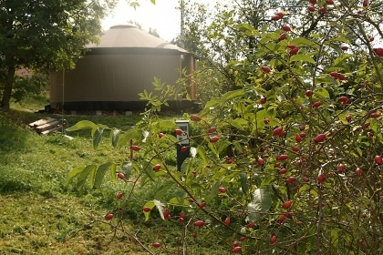 Glamping 02 jurta hnd jablen sad - Hemaniky