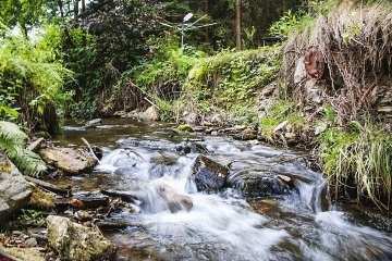 Chata s bazénem - Vyšší Brod - přehrada Lipno