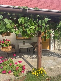 Chalupa Havlkv Brod - Vysoina