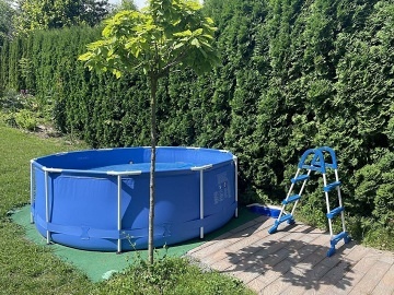 Chalupa s bazénem - Olešnice - Vysočina