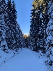 Chalupa Rychlebsk hory - Kralick Snnk