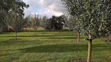 Chata jin Morava - Lun lesy - Beclav