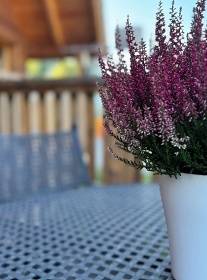 Chata s terasou a vivkou - Drahansk vrchovina