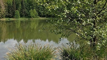 Chalupa Jesen�k u cyklostezky - L�zn� Lipov�