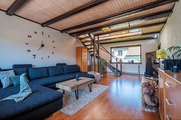 Apartm�nov� chata a baz�n - Jizerskohorsk� bu�iny