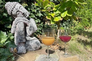 Chata u vinohradu - Dub�any - Slov�cko