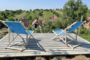 Chata u vinohradu - Dub�any - Slov�cko