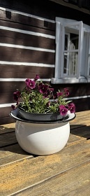 Roubenka a vinn� sklep - Adr�pa�sko-Teplick� sk�ly