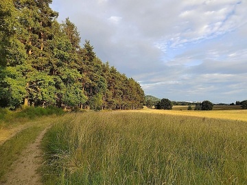 Wellness roubenka - M�ch�v kraj - Koko��nsko