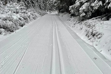 Horsk� chata - Bukov� potok - Kru�n� hory