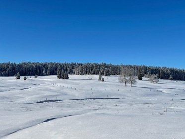 Horsk� chata - Bukov� potok - Kru�n� hory