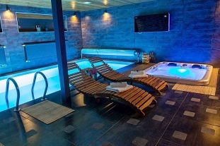 Nov� objekt: Wellness chata a baz�n - z�mek Konopi�t� - Blan�k 1C-390