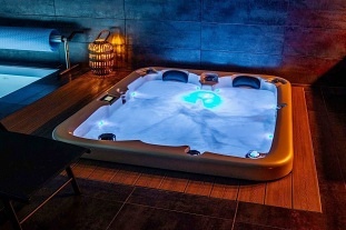 Wellness chata s baz�nem - z�mek Konopi�t� - Blan�k