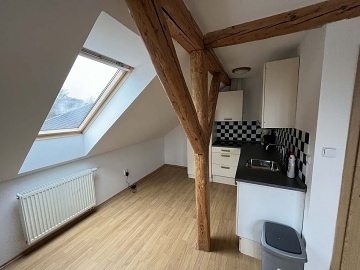 Velk� chalupa Zvi�ina - apartm�ny a vnit�n� baz�n