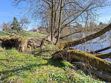 Glamping chata a koupac� sud - vodn� z�mek Blatn�