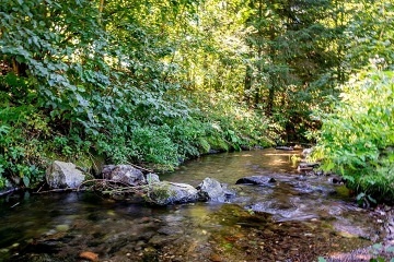 Rodinn� chalupa - De�tn� v Orlick�ch hor�ch