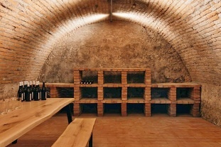 Chata P�lava - vinn� sklep - Nov� Ml�ny