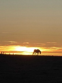 Srub p��rodn� park Man�t�nsko - Rab�tejnsko - kon�