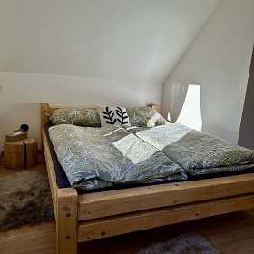 Srubov� chata a wellness - Koz� h�bet - Jesen�ky