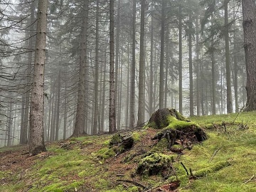 Srub s wellness - Jizersk� hory - Liberec