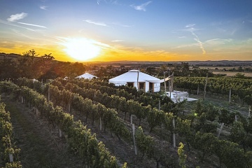 Jurty u vinohradu - glamping Ji�n� Morava