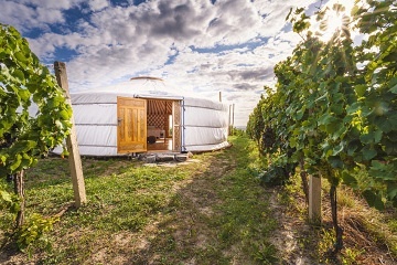 Jurty u vinohradu - glamping Ji�n� Morava