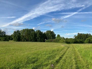 Glamping samota u lesa - Blatensk� pahorkatina