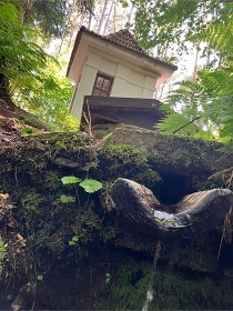 Glamping samota u lesa - Blatensk� pahorkatina