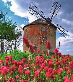 Glamping z�itek ve ml�n� - Ch�iby - ji�n� Morava