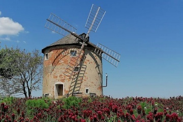 Glamping z�itek ve ml�n� - Ch�iby - ji�n� Morava