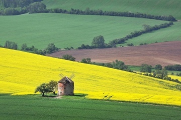 Glamping z�itek ve ml�n� - Ch�iby - ji�n� Morava