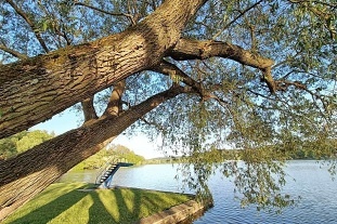 Chata Moravsk� kras - rybn�k Ol�ovec - Macocha