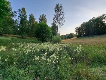 Chalupa u lesa - hrad Tol�tejn - Lu�ick� hory