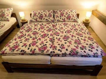 Chalupa s wellness - Velk� Losiny - Dlouh� str�n�