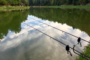 Chata u lesa - M�ch�v kraj - Koko��nsko