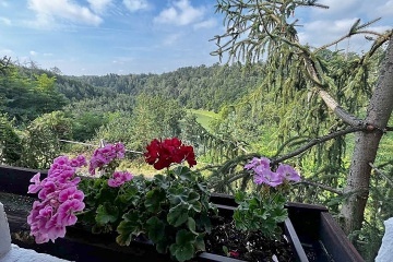 Chata u lesa - M�ch�v kraj - Koko��nsko