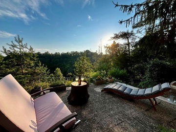 Chata u lesa - M�ch�v kraj - Koko��nsko