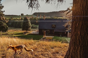 Chalupa se saunou - Karlova Stud�nka - Prad�d