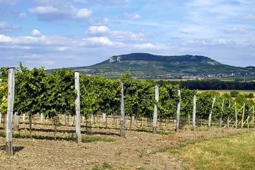 Penzion P�lava - Mikulov - p�ehrada Nov� Ml�ny