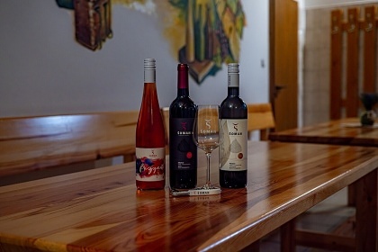 Penzion P�lava - Mikulov - p�ehrada Nov� Ml�ny